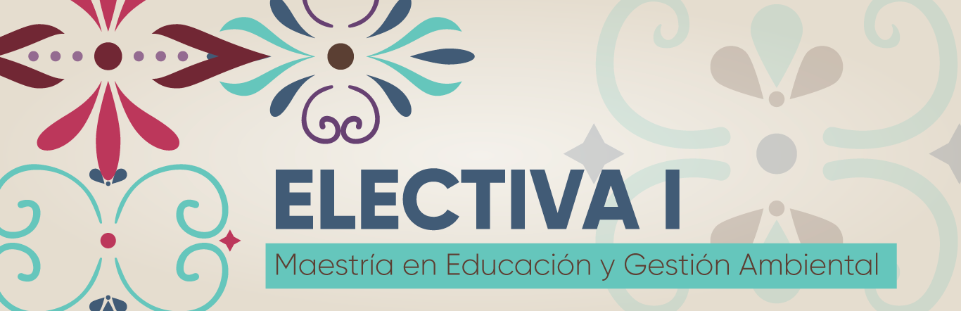 ELECTIVA 1 MAESTRÍA EN EDUCACIÓN Y GESTIÓN AMBIENTAL