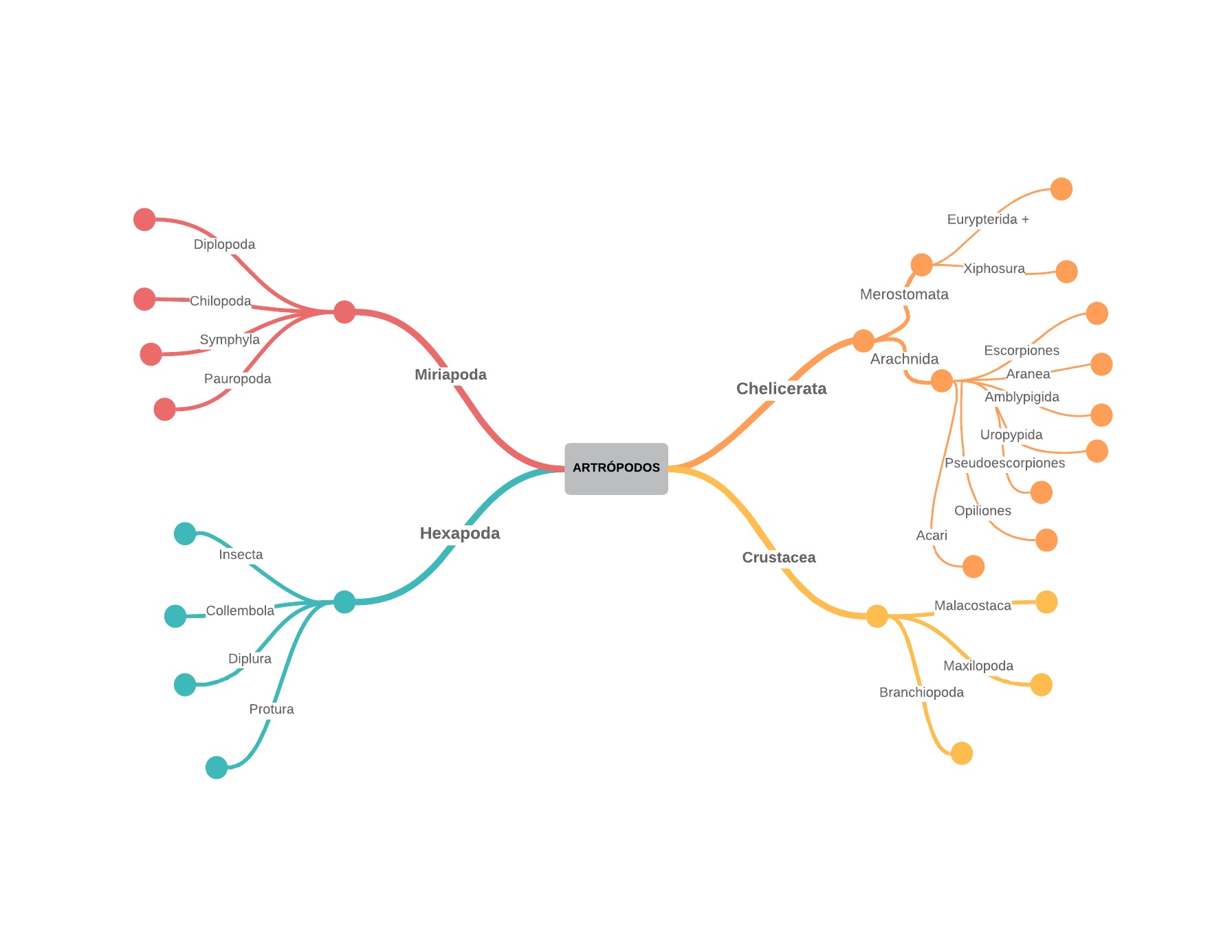 Attachment Mapas Contenidos ZoologíaInvertebradosAGG.jpeg