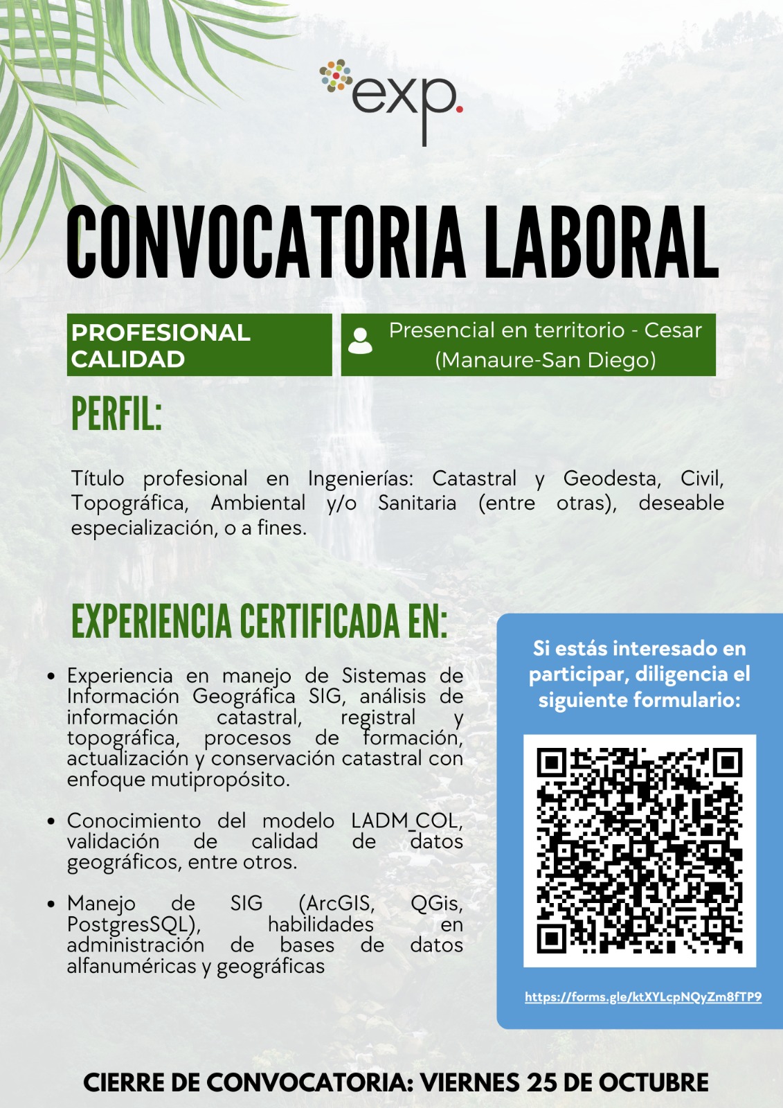 Adjunto WhatsApp Image 2024-10-15 at 17.36.25.jpeg