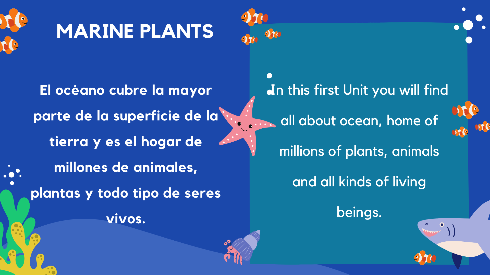 Marine Plants. A short description.