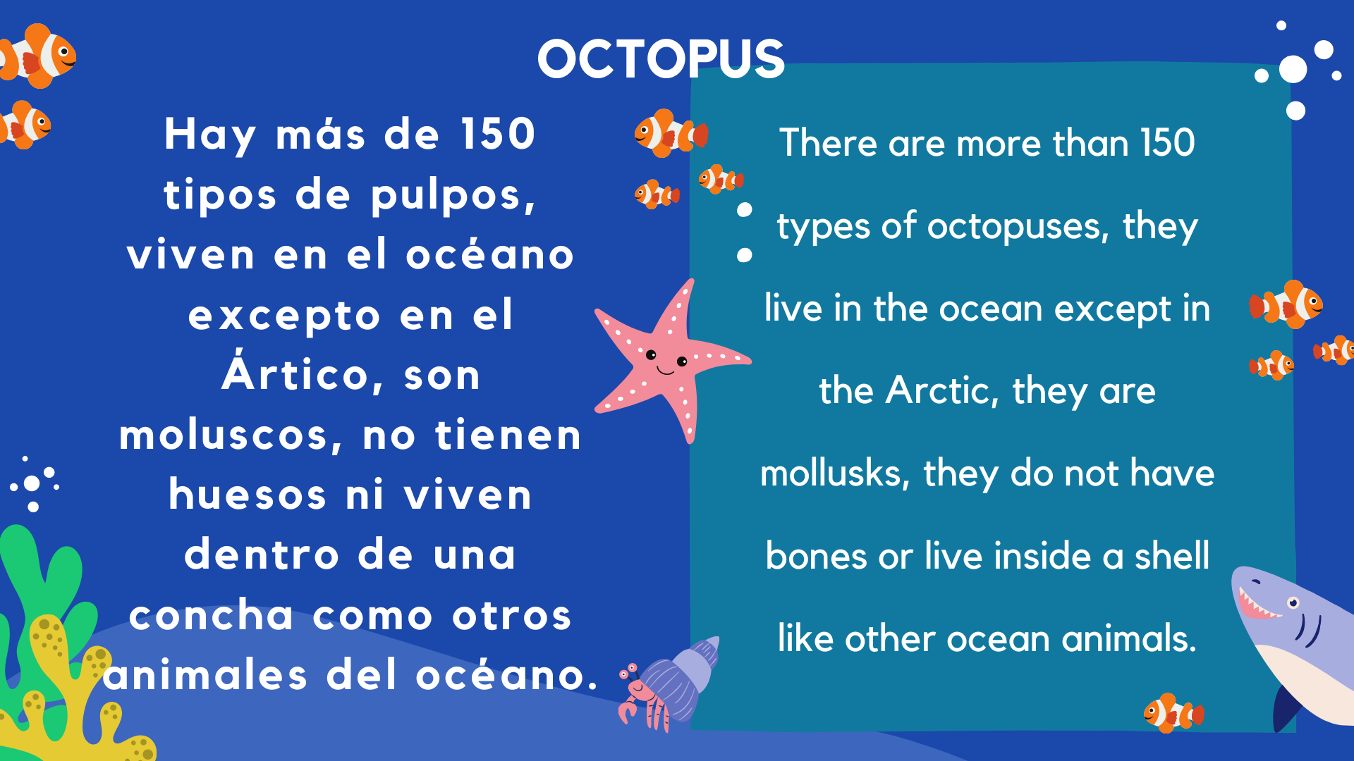 Octopus are one the most fantastic animals in the sea