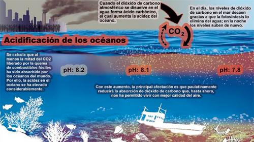 pH del oceano