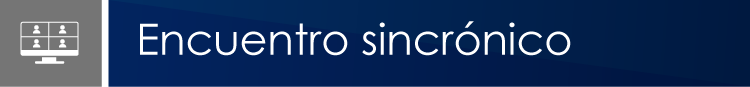 Encuentro sincrónico